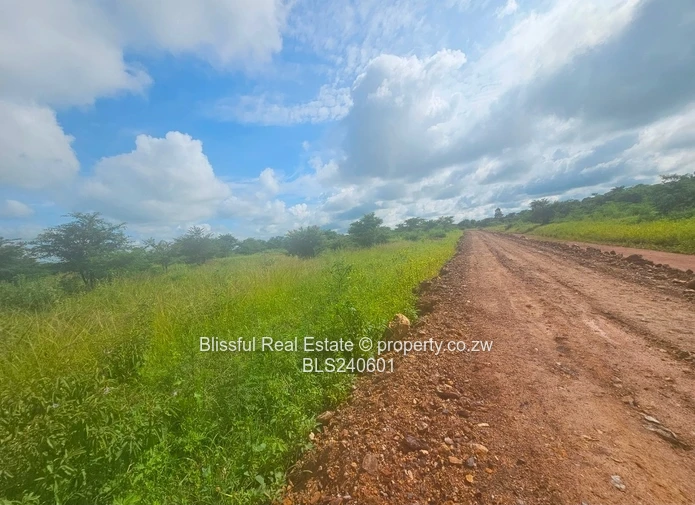 Stands for sale in Doornfontein 