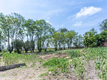 Farm & Agricultural Land