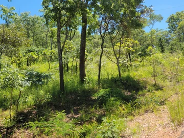 Commercial & Industrial Land