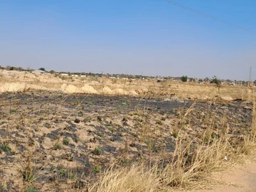 Land