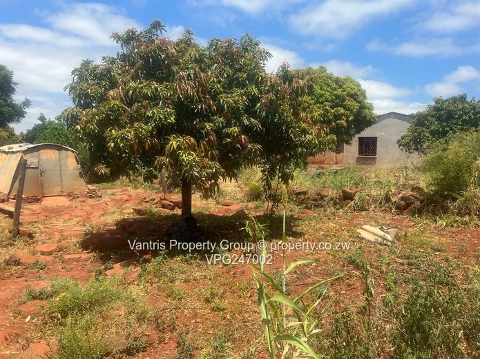 Prime 2,000m² - 3449sqm  — Whitecliff Residential Stands with payment terms 
