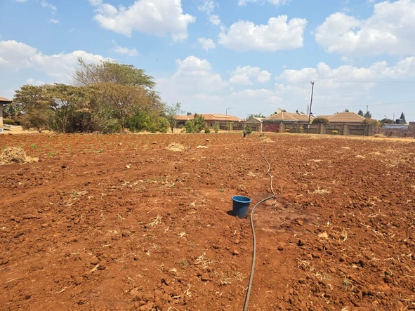 Stands & Residential Land