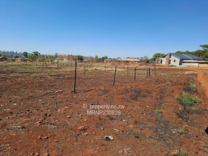 Crowhill Sawara Hills stand for sale