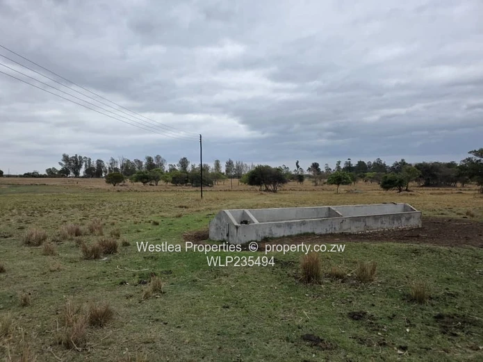 An opportunity not to miss