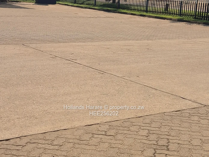 Massive Property In Willowvale