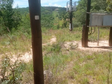 Farm & Agricultural Land