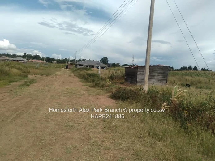 New Marimba Stand On Sale