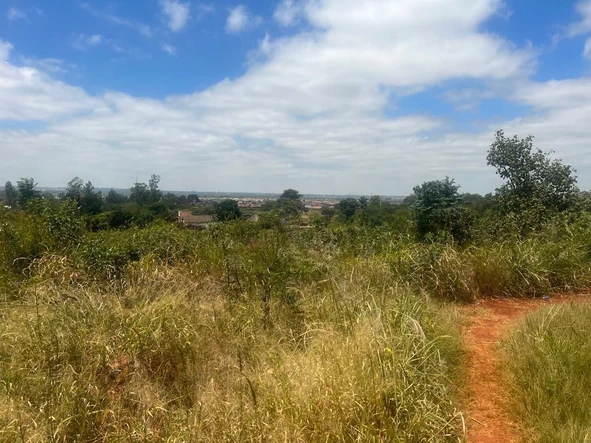 Commercial & Industrial Land