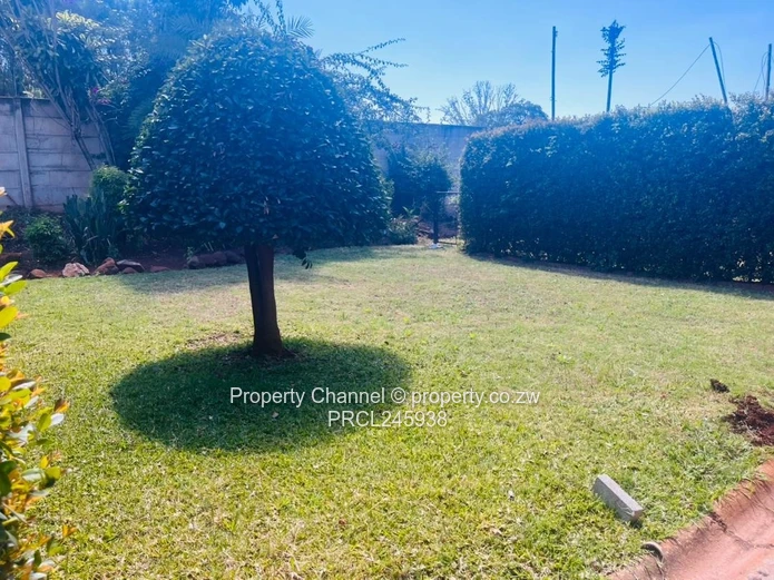 Sunlit 2-Bed Avondale Flat - Bay Window & Wooden Floors