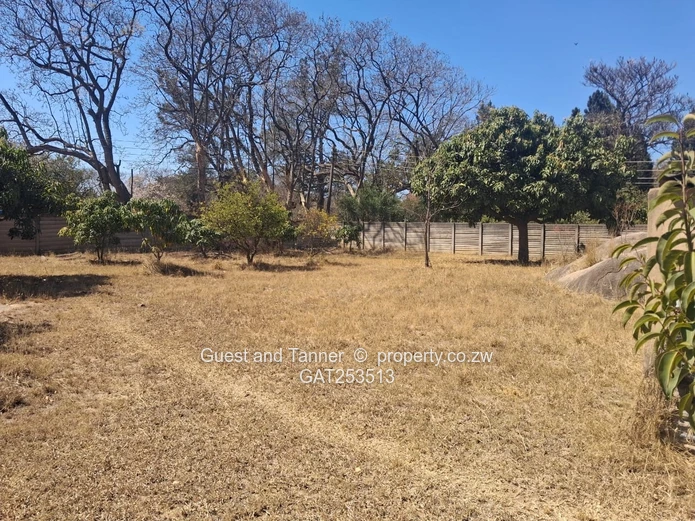 Golden Oldie Spacious Family Home for Sale - Hatfield 