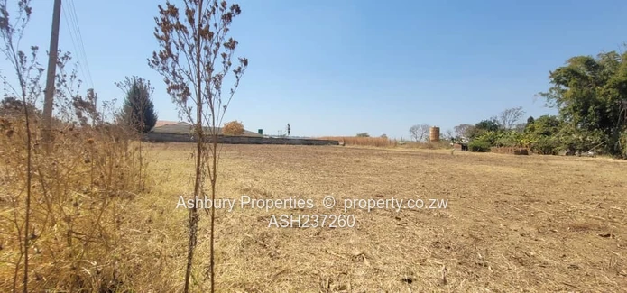 Golden Commercial Opportunity to Establish A Mall & More 