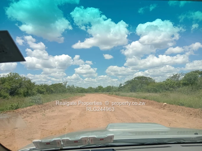 Plumtree Stands Now Available (Mavuka Heights)