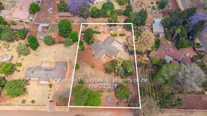 Renovator's Dream - Nostro!