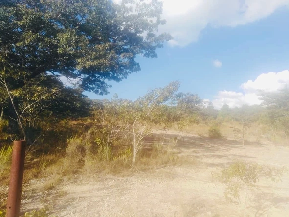 Farm & Agricultural Land