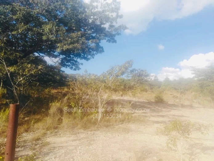 Experience The Nyanga Lifestyle, In Nature's Luxury