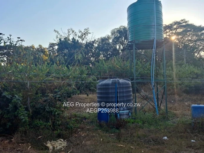 Mount Pleasant 3-Bed Home — Large Yard & Borehole