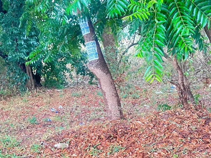 Land For Sale In Mandara