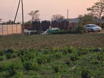 Farm & Agricultural Land