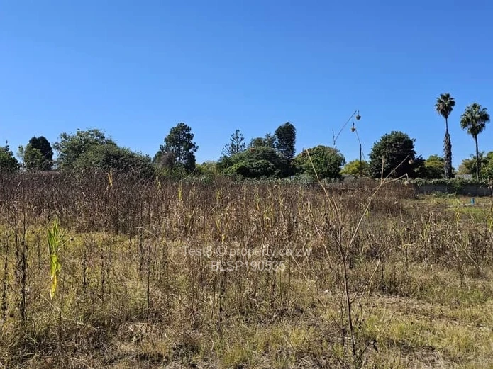 Stands & Residential Land for Sale in Strathaven BLSP190535