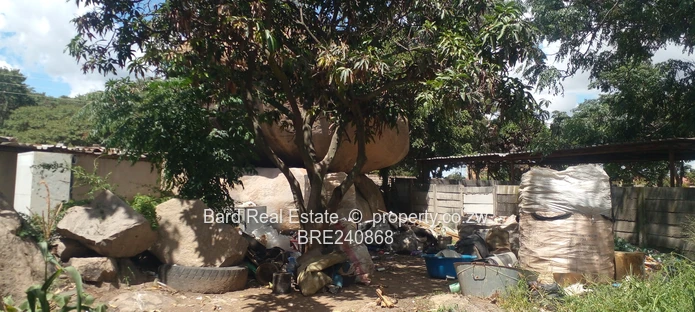 Strategic land for shop development