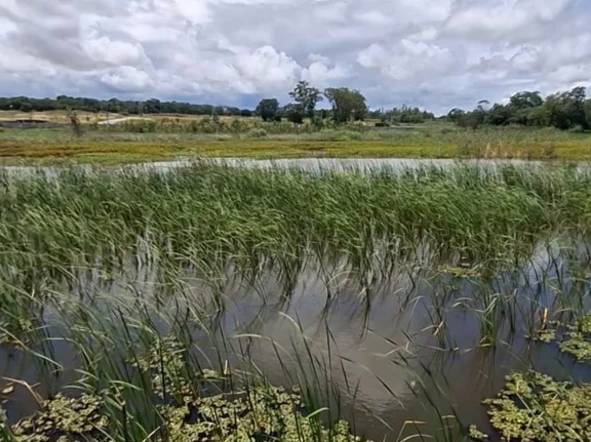 Farm & Agricultural Land