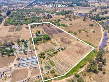 Farm & Agricultural Land