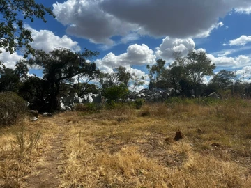 Commercial & Industrial Land