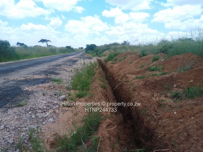 2 Stands at a bargain price