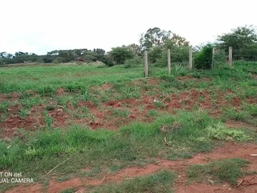 Commercial & Industrial Land