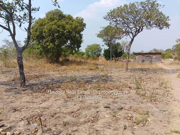 Crowhill 1300sqm Stand – Affordable Deal with Full Paperwork!