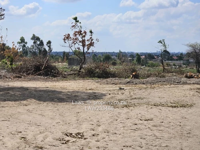 Perfect for development!