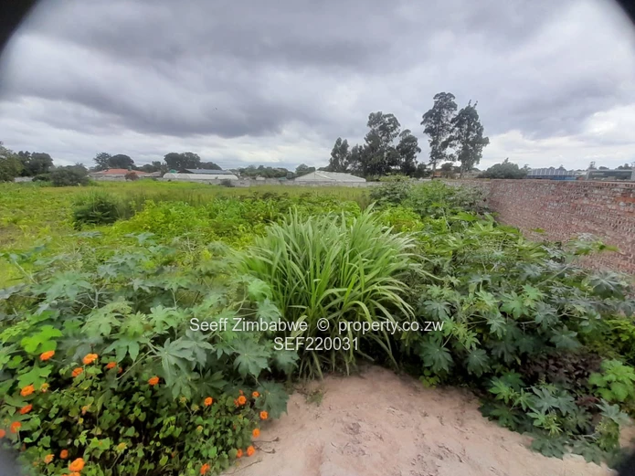 Spacious 12,692m² Walled Residential Stand with Road Frontage - Greendale