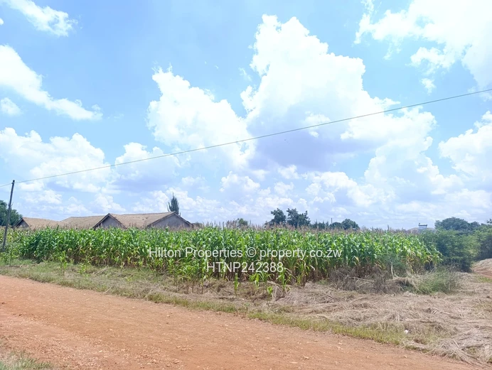 2,112m² Knowe Plot — Maize-Backed, Gravel Road Frontage