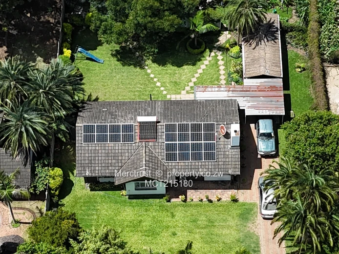 Absolutely immaculate! (Sole Mandate)