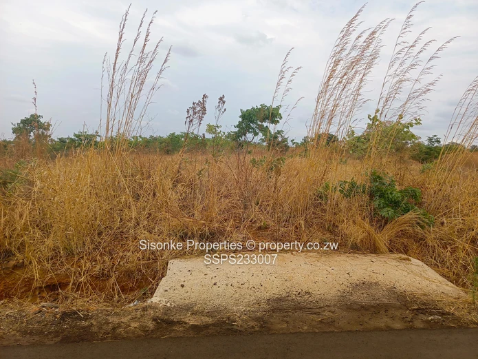 980m² Stand for sale in Pomona