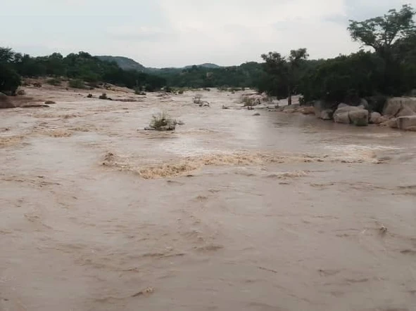 Farm & Agricultural Land