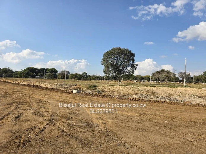 Hatfield Stands For Sale