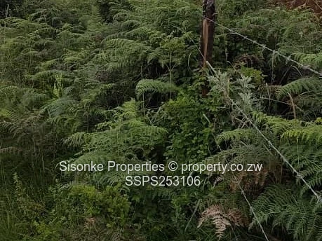  A rare opportunity to own a 5 hectares  piece of Nyanga