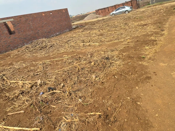 Land