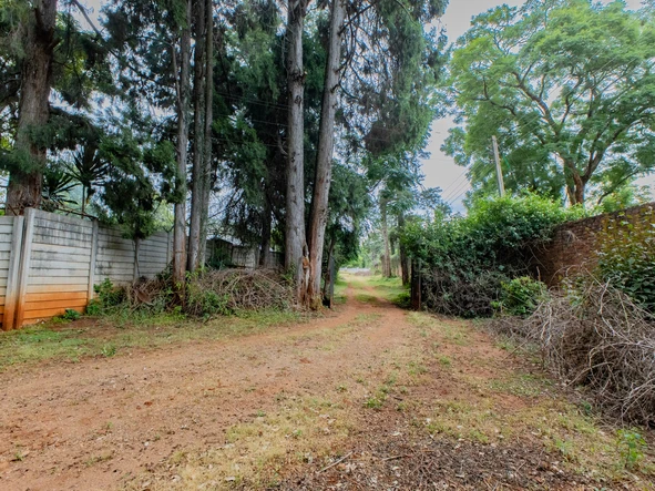 Stands & Residential Land