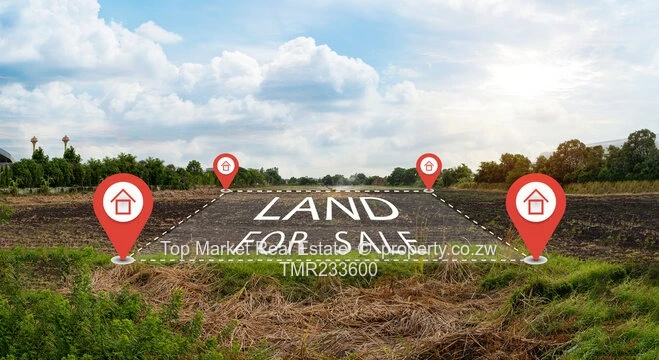 Crowhill Commercial stand