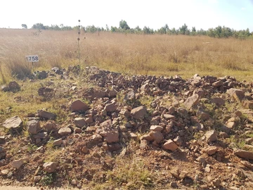 Stands & Residential Land