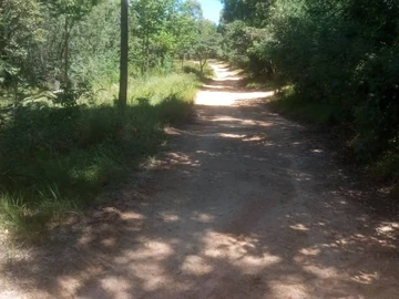 Farm & Agricultural Land