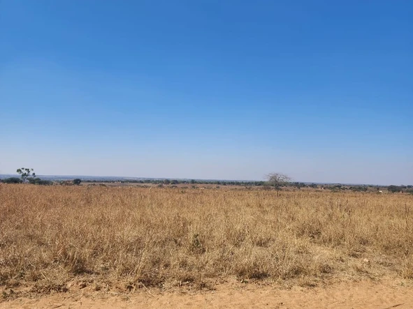 Farm & Agricultural Land