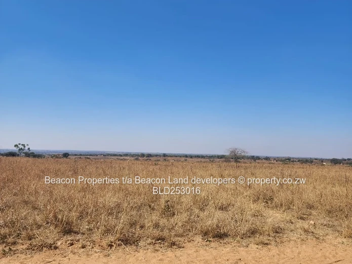 Prime Hurngwe Plots For Sale 