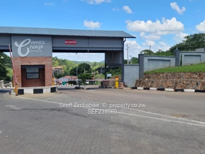 Prime Stands Available in Carrick Creagh! ??