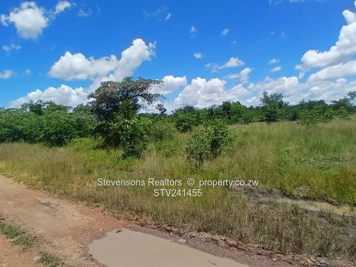 Clonmoran Stands, Halfway Road, Kadoma