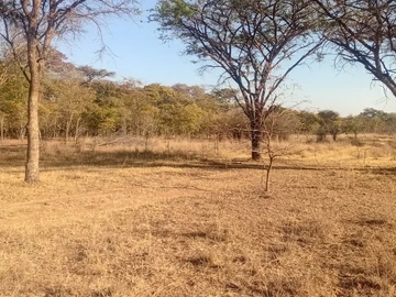 Farm & Agricultural Land