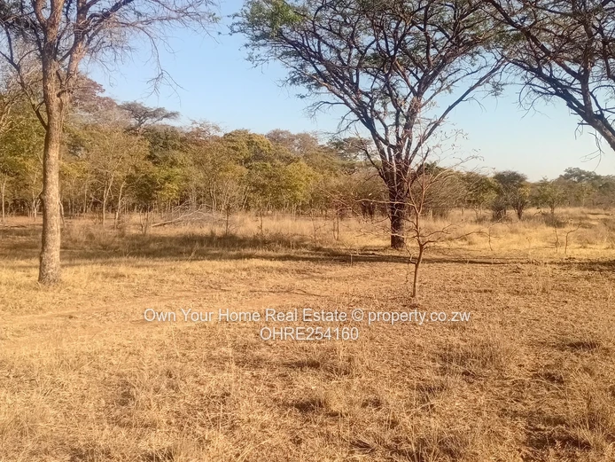 Beatrice Plot For Sale 