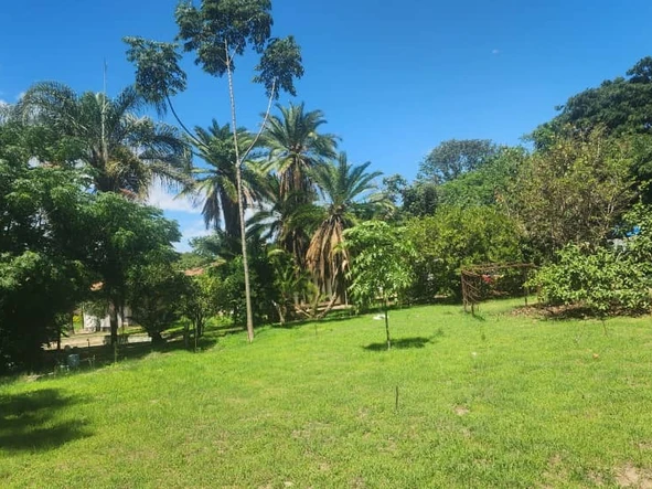 Shop & Retail Property